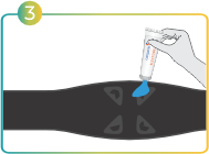 SVG Image