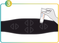 SVG Image
