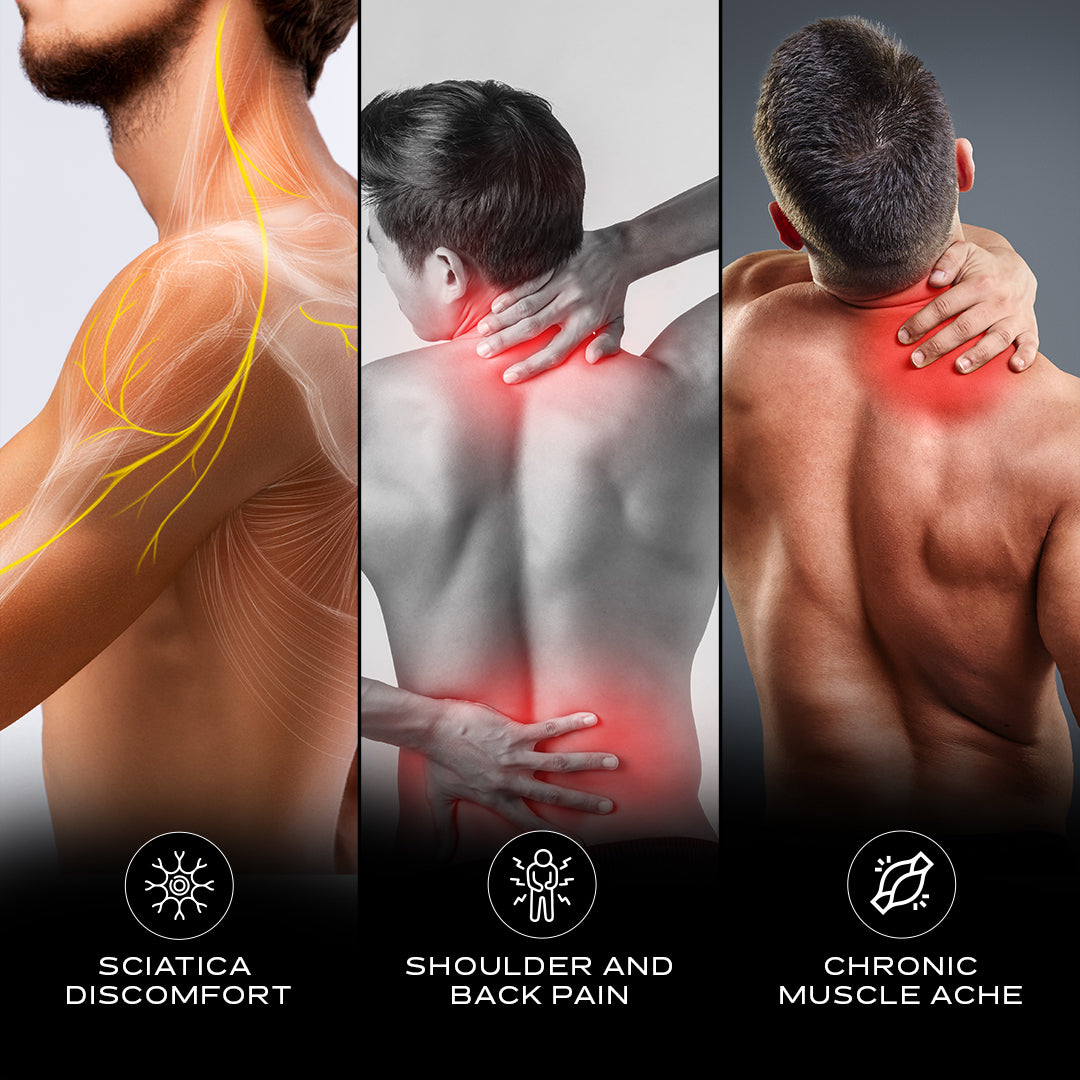 Nerve & Muscle Stimulator (NXT) – Companio