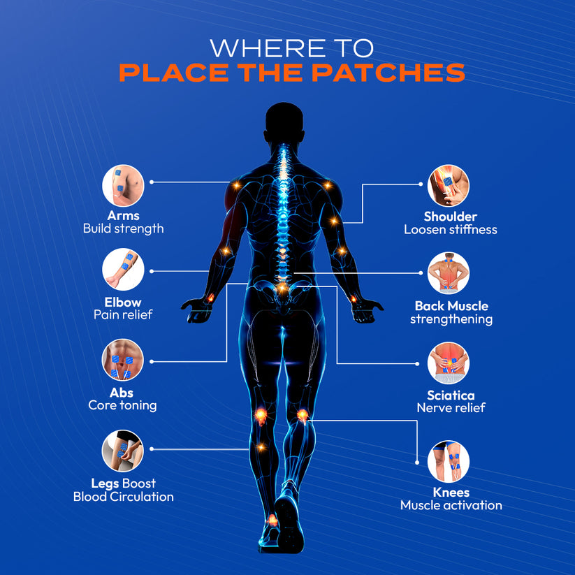 Nerve & Muscle Stimulator (NXT) – Companio