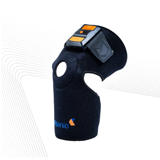 Knee Pulse