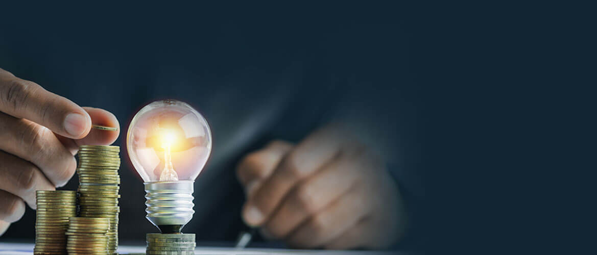 minimum investment & maximum profits