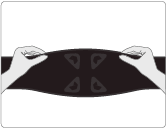 back pulse step 1